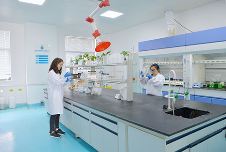 標(biāo)準(zhǔn)hua服務(wù)